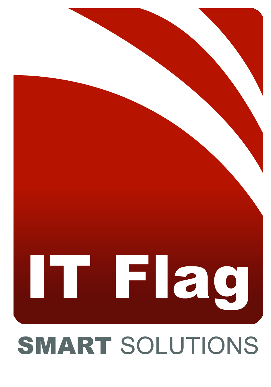 IT Flag