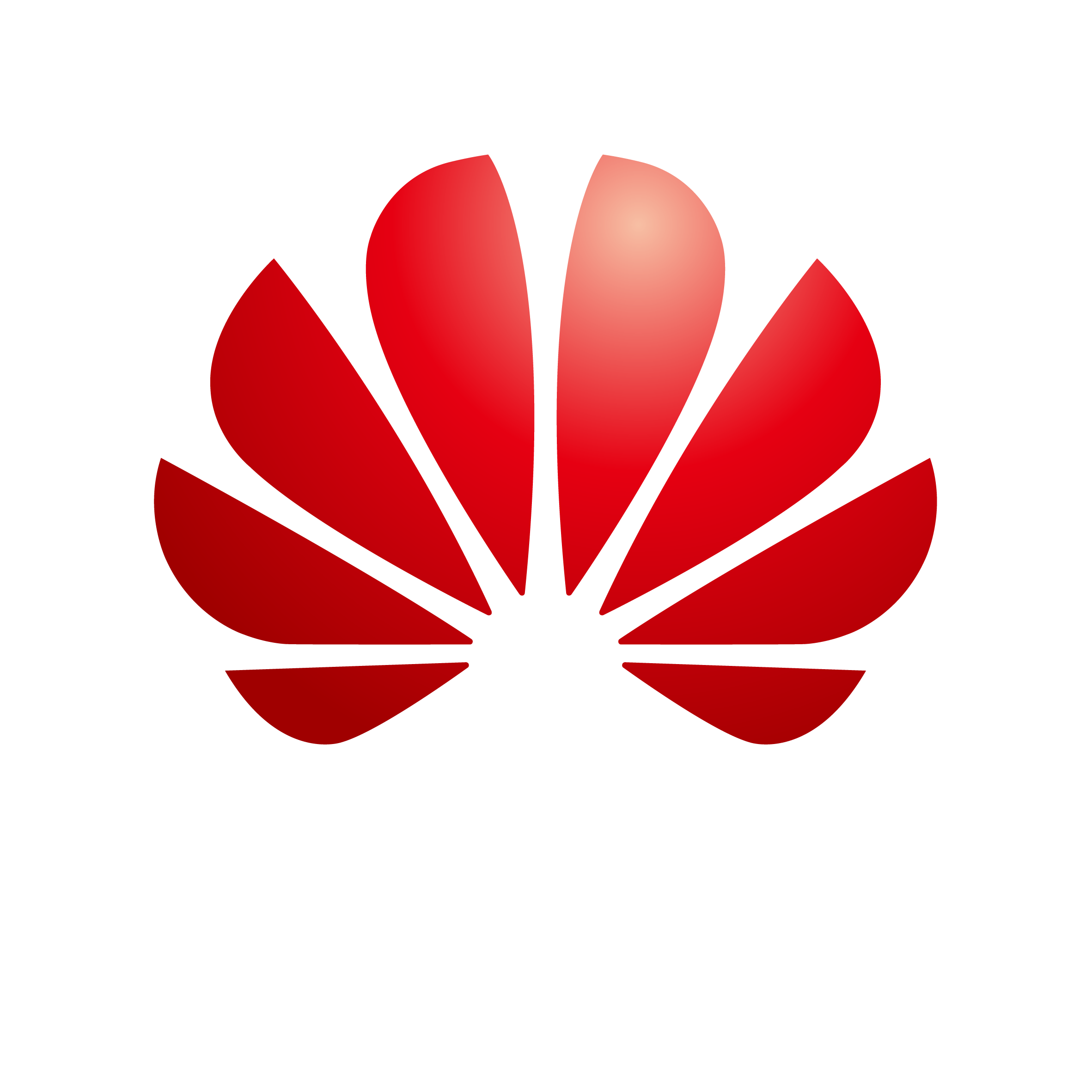 Huawei Technologies (Egypt) Co., Ltd